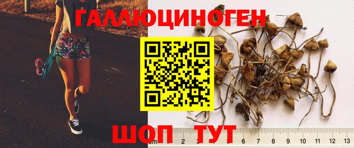 МЕФ   ГАШ  A-PVP СК   Наркошоп  Героин  Видное  МАРИХУАНА  Cocaine  Вход с VPN  ГАШ 