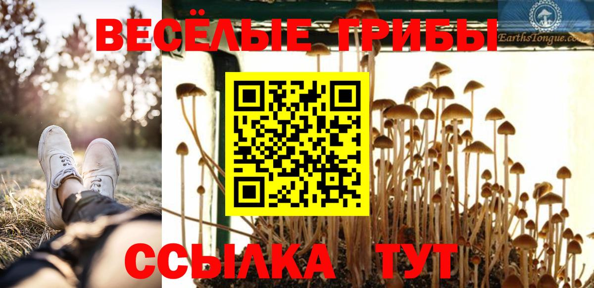 ГАШИШ Видное