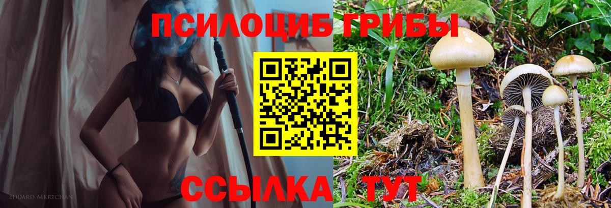Галлюциногенные грибы Cubensis Видное