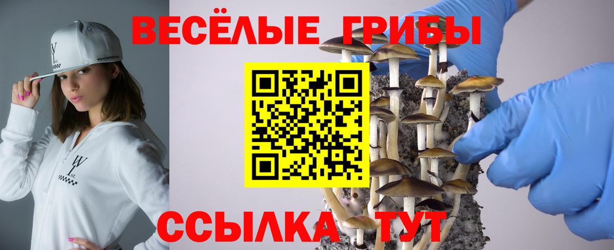 Видное  Псилоцибиновые грибы GOLDEN TEACHER  Галлюциногенные грибы ЛСД  Вход с VPN 